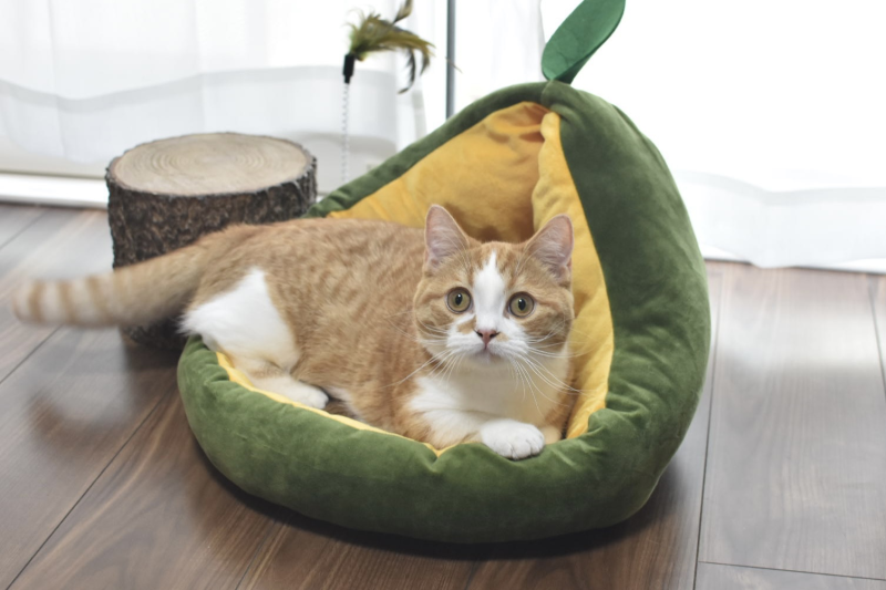 Giường Ổ Đệm Quả Bơ Cho Thú Cưng Chó Mèo