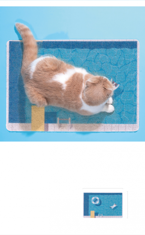 Thảm Lót Bể Bơi cho Thú Cưng Chó Mèo