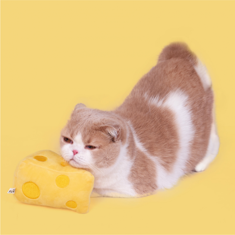 Đồ Chơi Cheese Cho Mèo