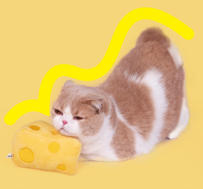 Đồ Chơi Cheese Cho Mèo