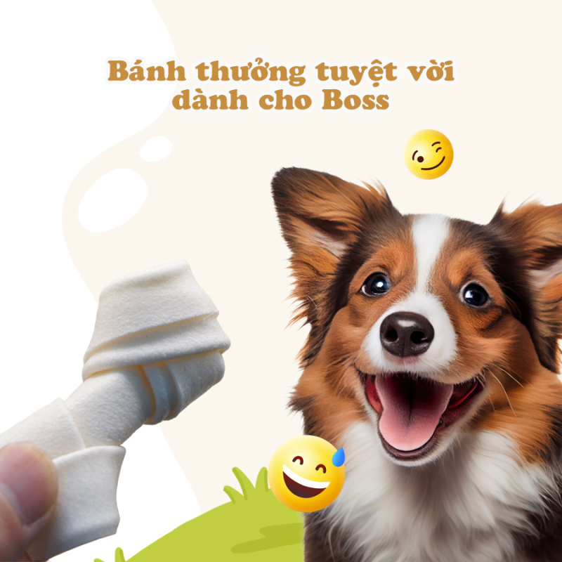 DoggyMan Xương da bò tự nhiên Treat thưởng cho chó